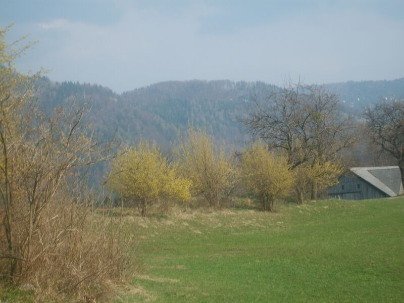 Datei:Dirndlzeula Herta Kapeller 2009.JPG