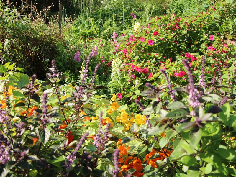 Datei:SG Naturgartenvielfalt.JPG