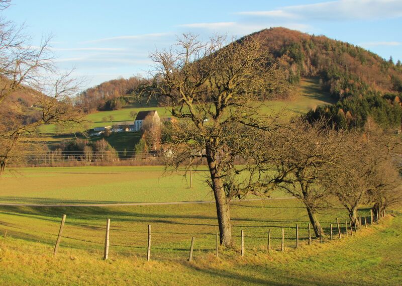Datei:Hofberg Andreaskirche.jpg