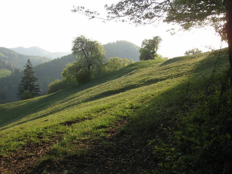 Datei:KL - Abendstimmung auf'm Dirndlweg.jpg