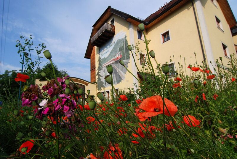 Datei:MZB-Bild mit Blumen.jpg