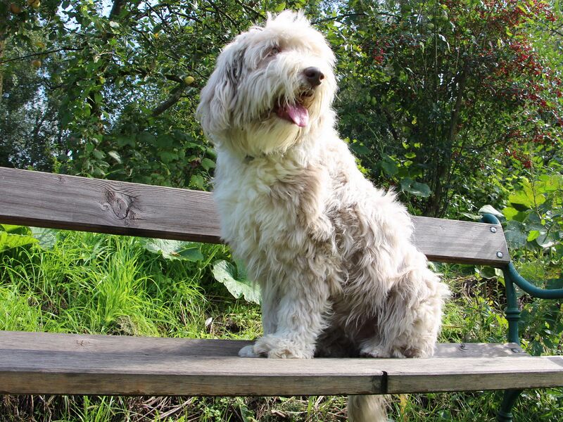 Datei:Paula - meine Bank.jpg