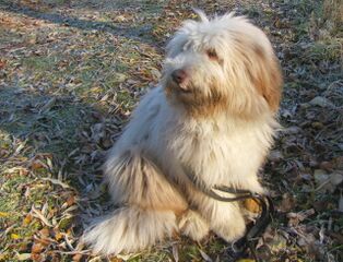 Paula bei Teichrundgang Steinschaler Teich