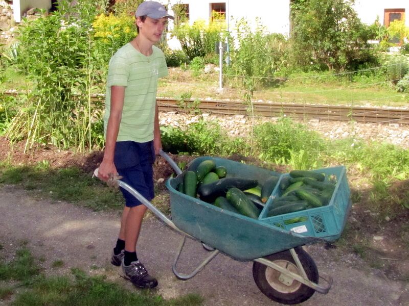 Datei:SG Erntescheibtruhe 2013 David.jpg