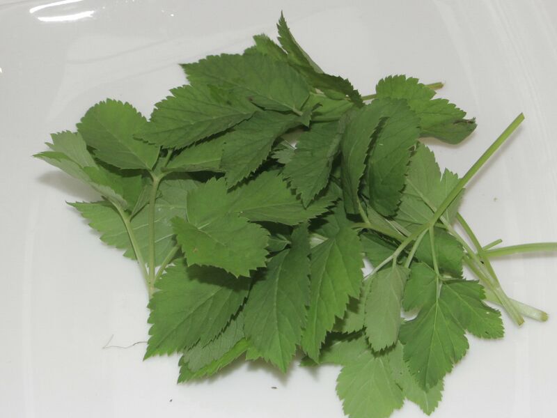 Datei:SK Giersch Kochfertig.jpg