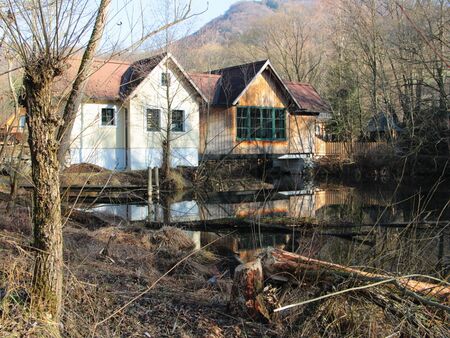 Teichbrücke im Winter - Blick auf Biberaktivitäten