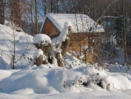 Stümmeldirndl und Alpiner Strandkorb beim Steinschaler Teich