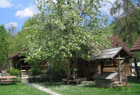 Blick von Terrasse - Birnbaum