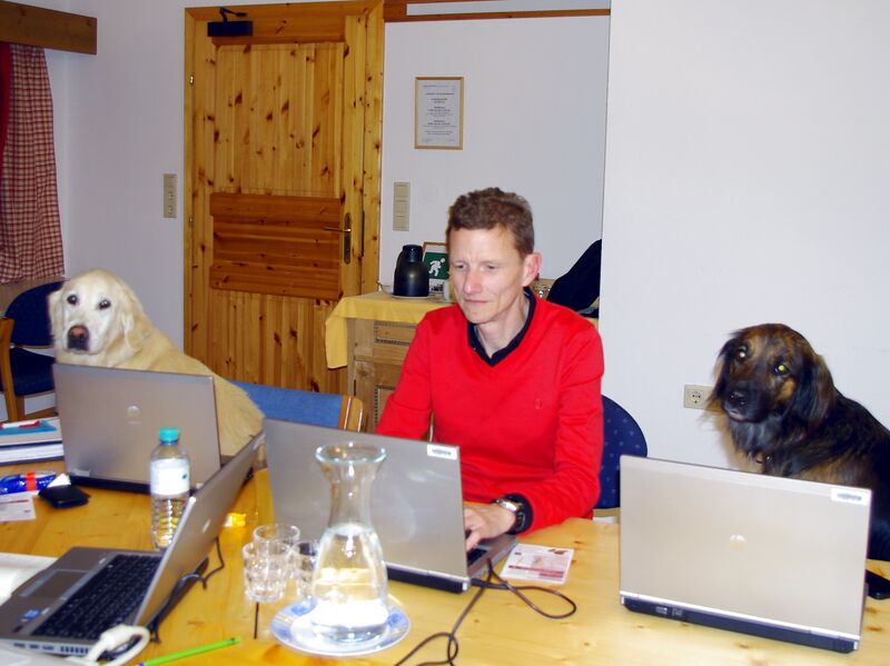 Datei:Seminarhunde 2.jpg