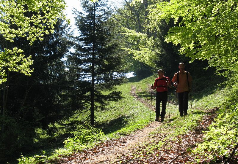 Datei:Weg 652 Wandereridyll1.jpg