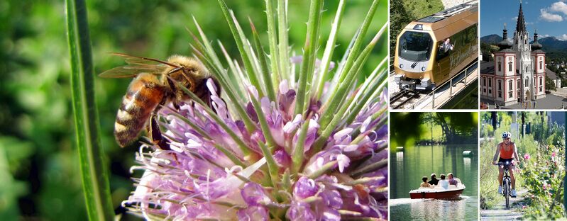 Datei:Ausflüge - Sommer Header.jpg