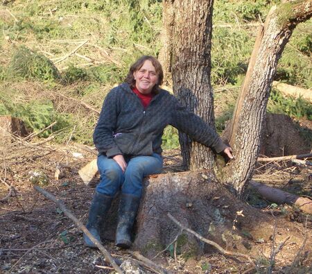 Obstbaum statt Fichte - Exkursionslandschaft