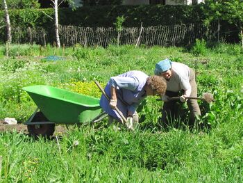 fleißige Gartenhelfer