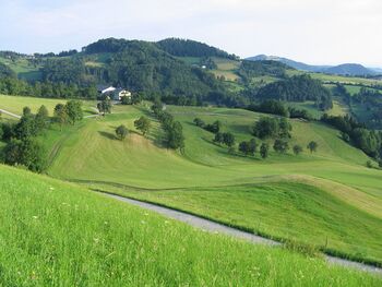 Bild der Landschaft im Rehgraben - Sois