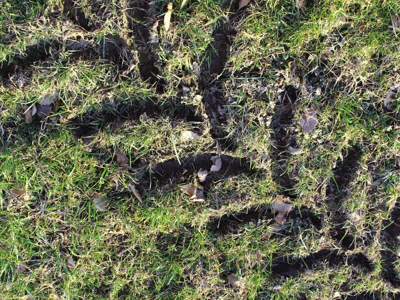 Datei:Schweres Spur7.jpg