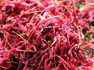 Indianernesselblüten