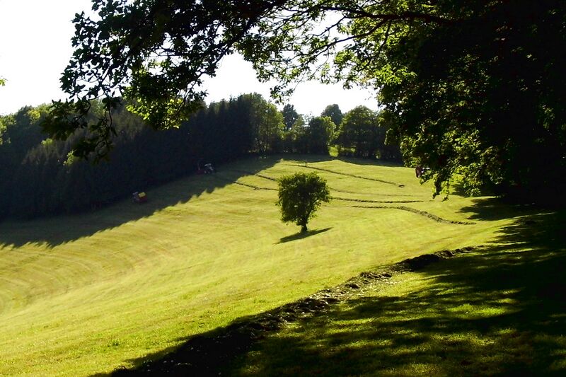 Datei:Lange Wiese Mai.jpg