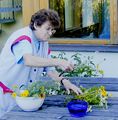 Blumen für Seminarraum