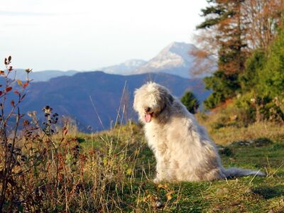 Paula auf Eisenstein vorm Ötscher