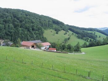 Oachnerhof im Sommer