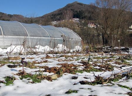 Folientunnel im Winter